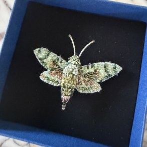 Hawk natsv�rmer, broche