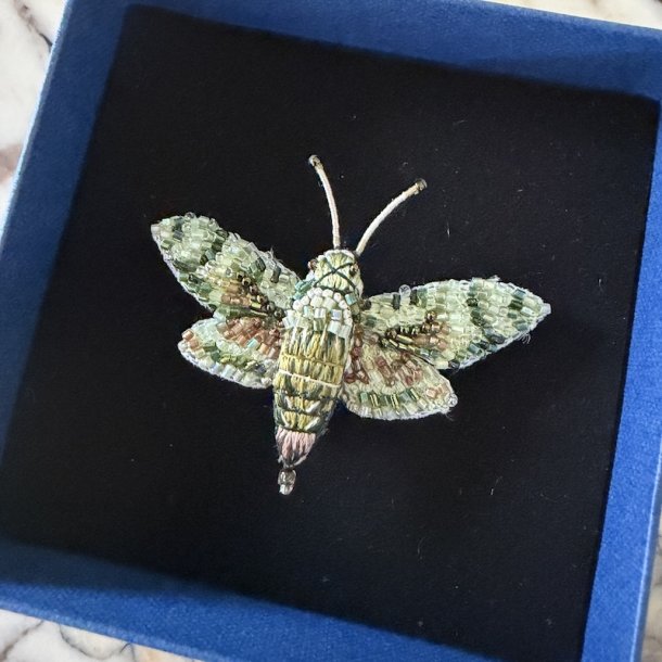 Hawk natsv�rmer, broche