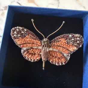 Longwing sommerfugl, broche