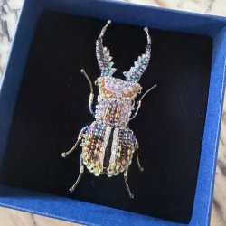 Stag pincer beetle, broche