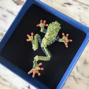 Red Eyed Tree frog, broche