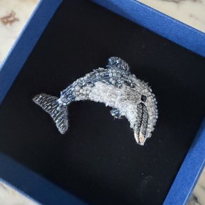 Bottlenose delfin, broche