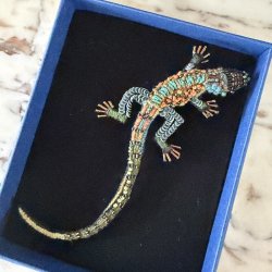 Caiman Lizard broche