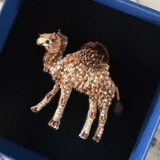 Sahara Kamel, broche
