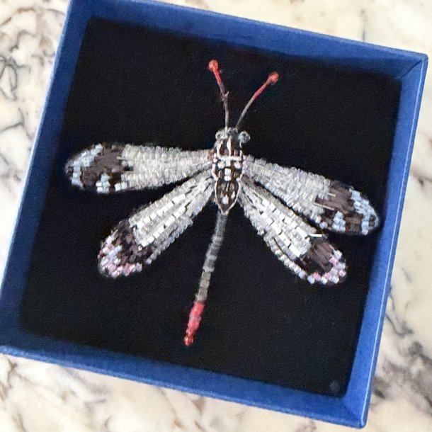 Pleasing Antlion, broche