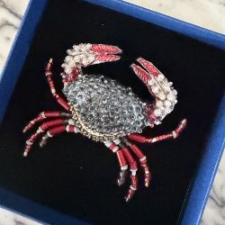 Red clawed krabbe, broche