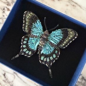 Sea Green Swallotail sommerfugl, broche