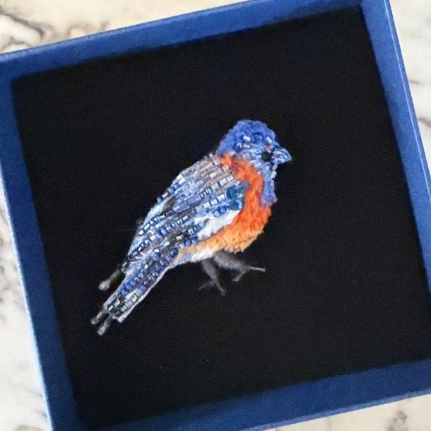 Eastern bluebird broche