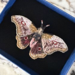 Emperor Mopane natsv�rmer broche