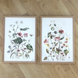 A3, Nr 1 vild blomsterhave