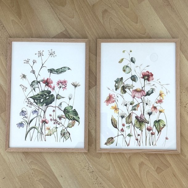 A3, Nr 1 vild blomsterhave