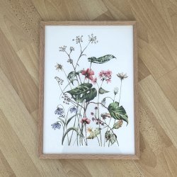 A3, Nr 1 vild blomsterhave