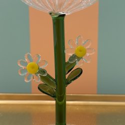 Champagnesk�l, Daisy