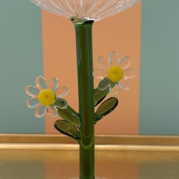 Champagnesk�l, Daisy