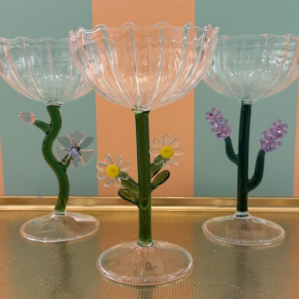 Champagnesk�l, Daisy