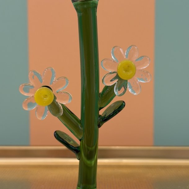 Vinglas, Daisy