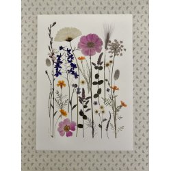 A3, Nr 7 - (Bredehavekiosk vrket) 