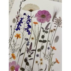 A3, Nr 7 - (Bredehavekiosk vrket) 