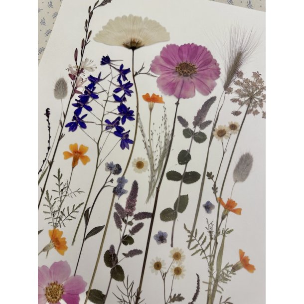 A3, Nr 7 - (Bredehavekiosk vrket) 