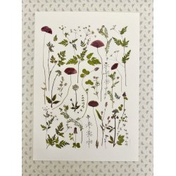 A3, Nr 3 (Valmuer og andet vildt)