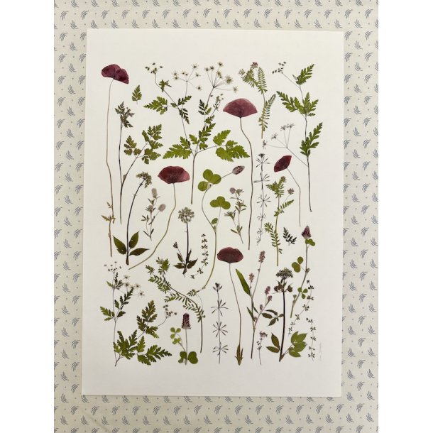 A3, Nr 3 (Valmuer og andet vildt)