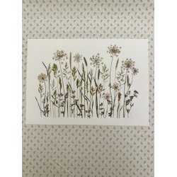 A3, Nr 6 (Sommer grftekant)