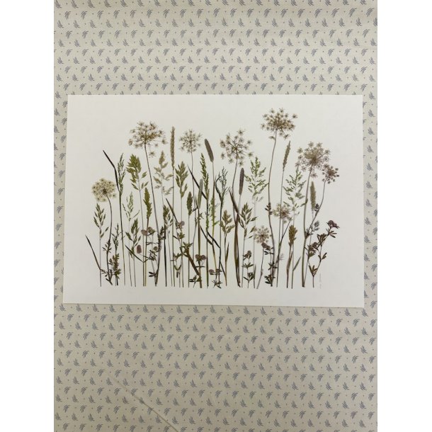 A3, Nr 6 (Sommer grftekant)