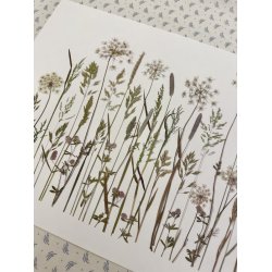 A3, Nr 6 (Sommer grftekant)