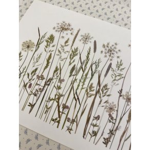 A3, Nr 6 (Sommer grftekant)