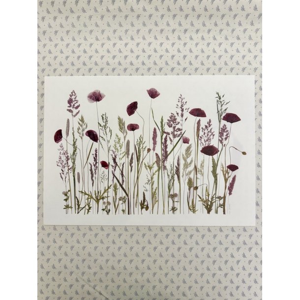 A3, Nr 5 (Grftekant med valmuer)