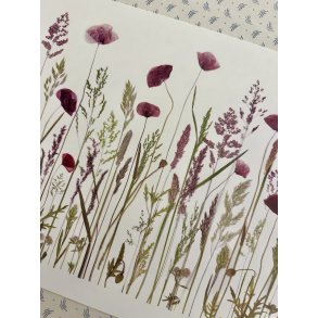 A3, Nr 5 (Grftekant med valmuer)