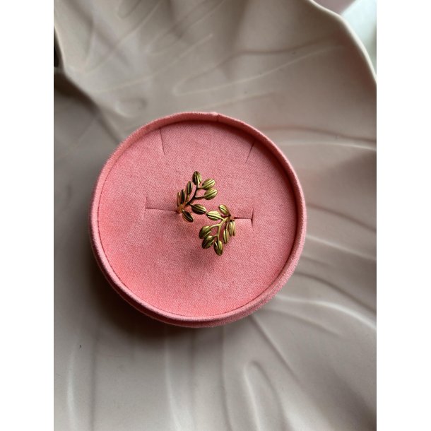 Belva Ring