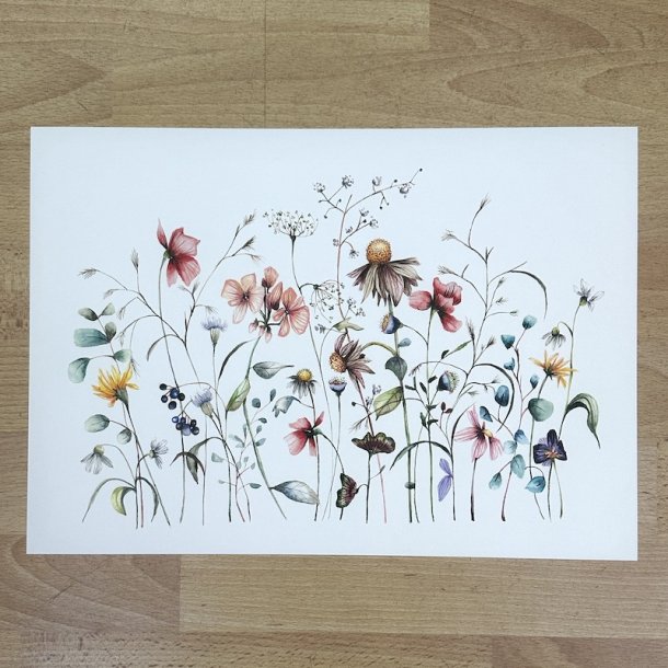 A3, Nr 3 Vild blomsterhave