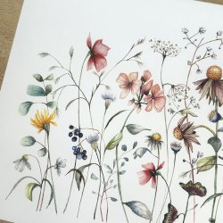 A3, Nr 3 Vild blomsterhave