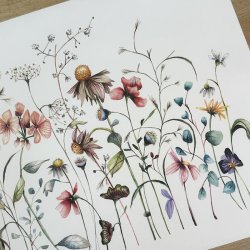 A3, Nr 3 Vild blomsterhave