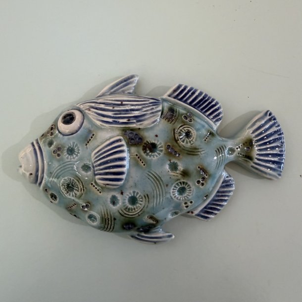 Trigger fish