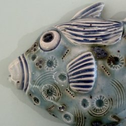Trigger fish