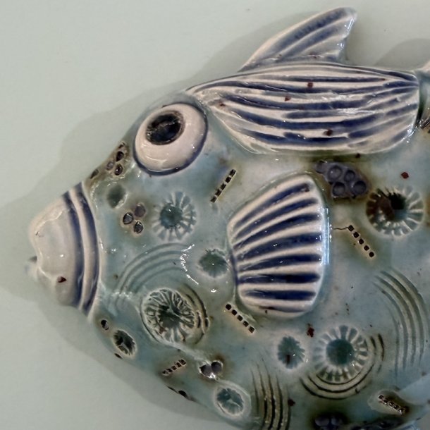 Trigger fish