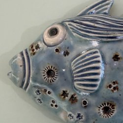 Trigger fish