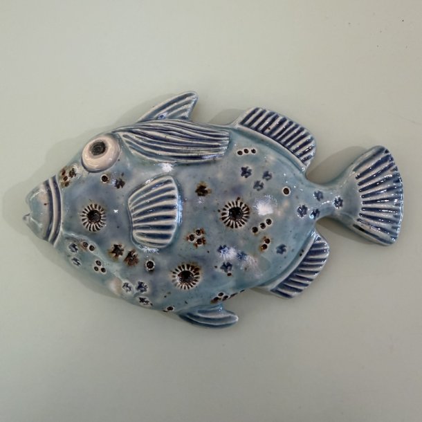Trigger fish