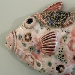 Trigger fish