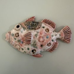 Trigger fish