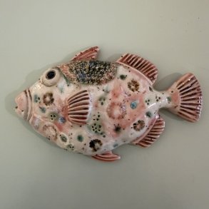 Trigger fish