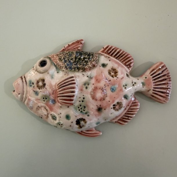 Trigger fish