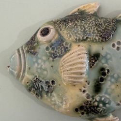 Trigger fish