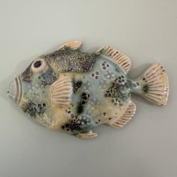 Trigger fish