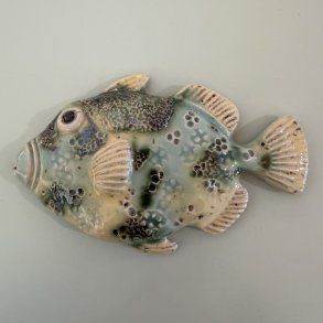 Trigger fish