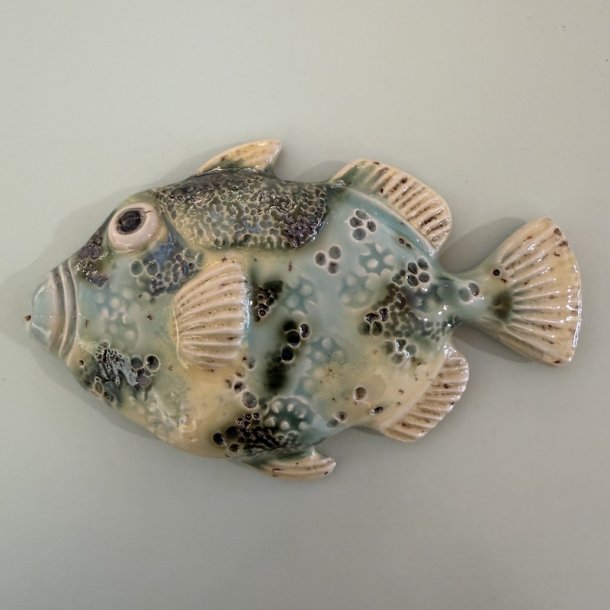 Trigger fish