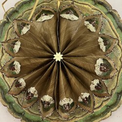 Stor julestjerne nr 6