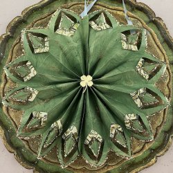 Stor julestjerne nr 9